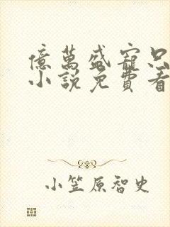 亿万盛宠只为你小说免费看