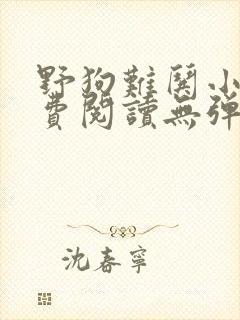 野狗难哄小说免费阅读无弹窗全文