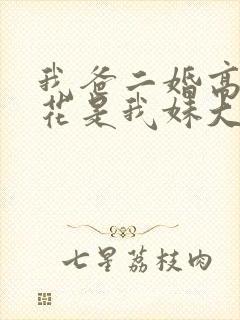 我爸二婚高冷校花是我妹大结局