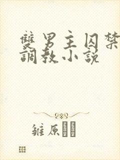 双男主囚禁改造调教小说