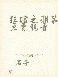 狂赌之渊第二季免费观看