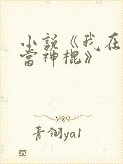 小说《我在异界当神棍》