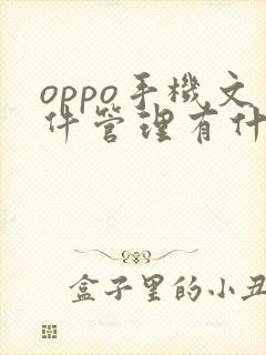 oppo手机文件管理有什么用