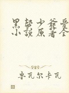 黑帮少爷爱上我小说原著全文