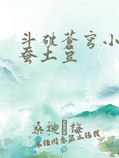 斗破苍穹小说天蚕土豆