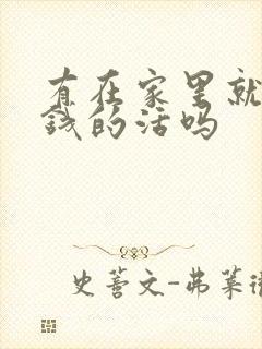 有在家里就能挣钱的活吗