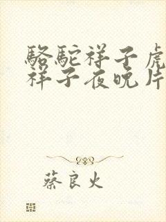 骆驼祥子虎妞和祥子夜晚片段书