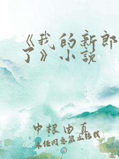 《我的新郎逃婚了》小说