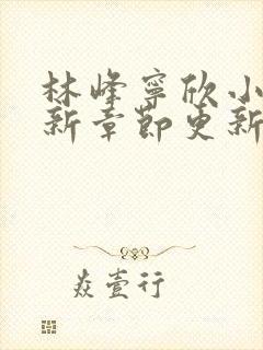 林峰宁欣小说最新章节更新