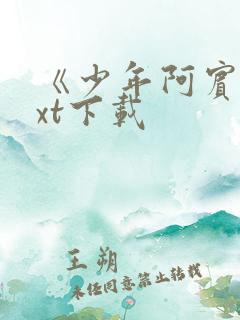 《少年阿宾》txt下载