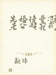 先婚后爱:隐婚老公超宠我