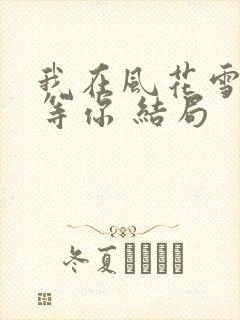 我在风花雪月里等你 结局