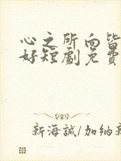 心之所向皆是美好短剧免费观看