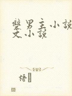 双男主小说高干文小说