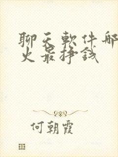 聊天软件哪个最火最挣钱