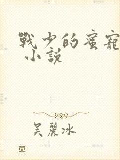 战少的蜜宠娇妻 小说