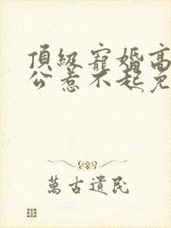 顶级宠婚高冷老公惹不起免费阅读