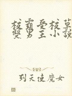 校霸受校草攻的双男主小说