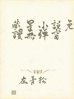 藏星小说免费阅读无弹窗