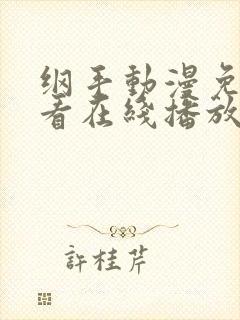 纲手动漫免费观看在线播放