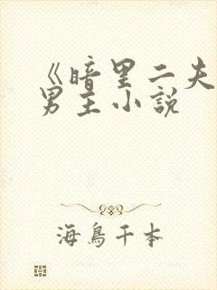 《暗里二夫》双男主小说