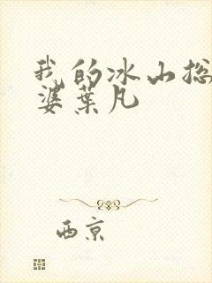 我的冰山总裁老婆叶凡