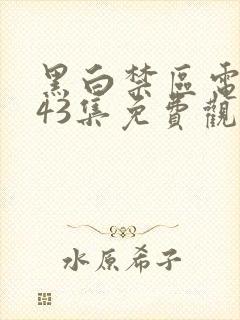 黑白禁区电视剧43集免费观看