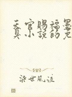 天官赐福墨香铜臭小说的免费阅读