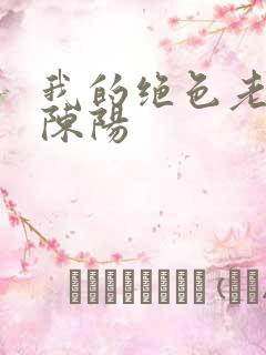 我的绝色老板娘陈阳