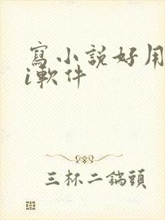 写小说好用的ai软件