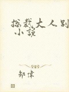 总裁大人别太坏 小说