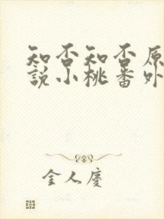 知否知否原著小说小桃番外