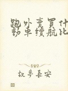 跑外卖买什么电动车续航比较久