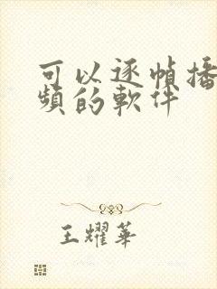 可以逐帧播放视频的软件