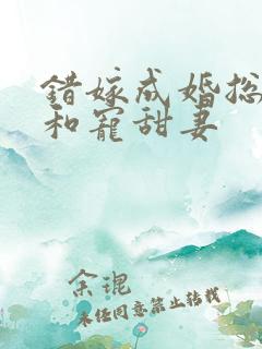 错嫁成婚总裁的和宠甜妻