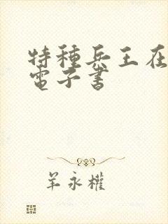 特种兵王在山村电子书