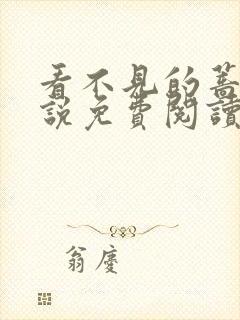 看不见的蔷薇小说免费阅读