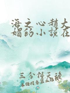 海之心赵大宝苏媚的小说在线阅读免费