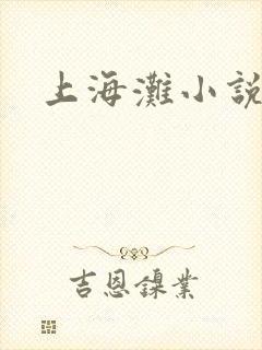 上海滩小说原著