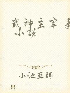 武神主宰 秦尘 小说