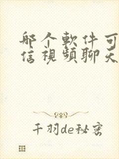 哪个软件可以微信视频聊天美颜