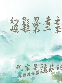 幻影忍者之神龙崛起第二季免费观看