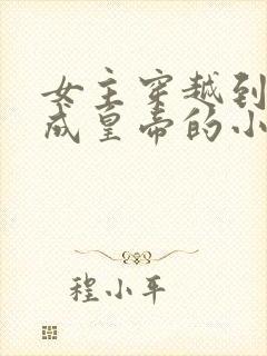 女主穿越到古代成皇帝的小说