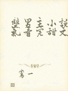 双男主小说一口气看完甜文