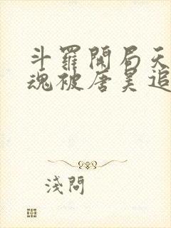 斗罗开局天使武魂被唐昊追杀下载