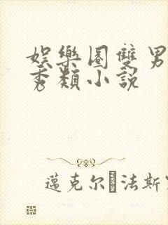 娱乐圈双男主选秀类小说