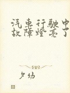 汽车行驶中电瓶故障灯亮了