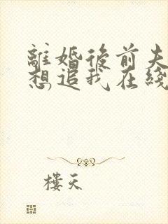 离婚后前夫总是想追我在线免费阅读