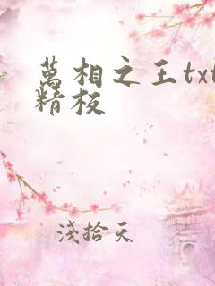 万相之王txt精校