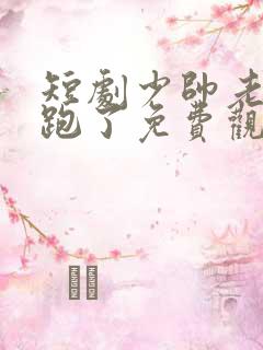 短剧少帅老婆又跑了免费观看全集